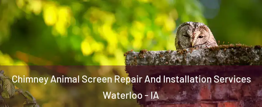  Chimney Animal Screen Repair And Installation Services Waterloo - IA