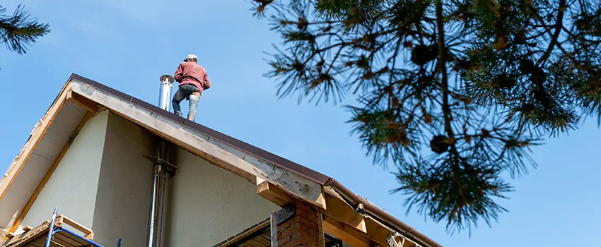 Birds Removal Contractors from Chimney in Waterloo, IA