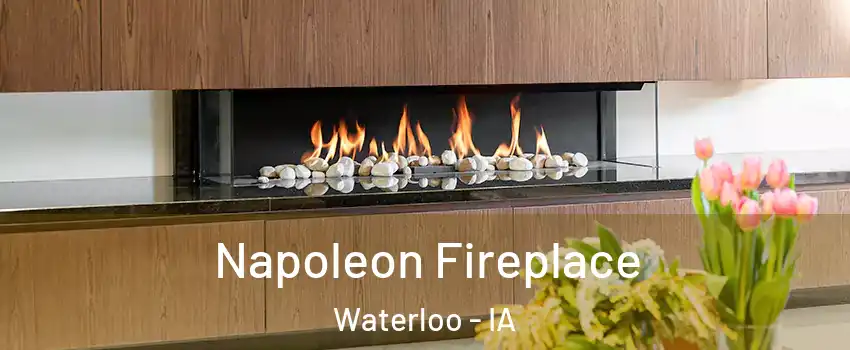  Napoleon Fireplace Waterloo - IA