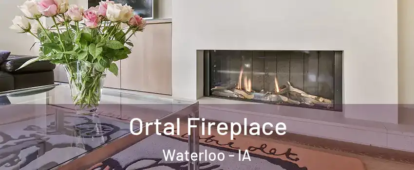  Ortal Fireplace Waterloo - IA